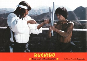 bruceploitation-collector_Bruce Le_bushido_-_kampf_um_die_goldenen_reisschalen_03._bild